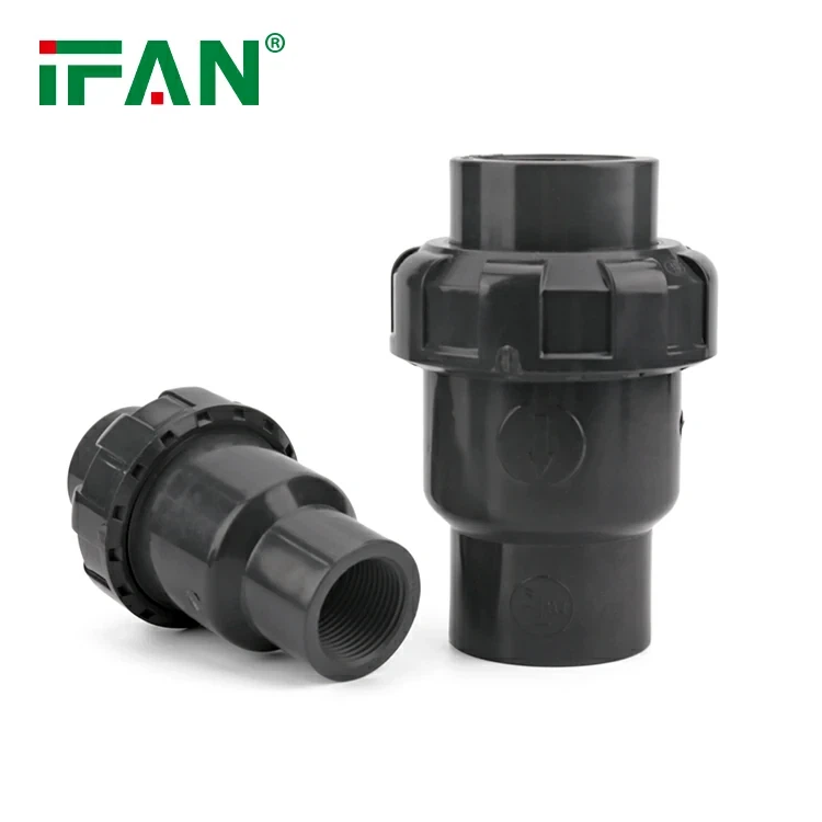 PVC Check Valve 24 PVC Check Valve 24